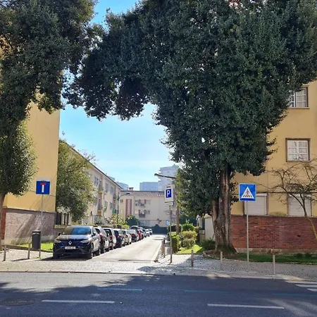 Majesticlara *