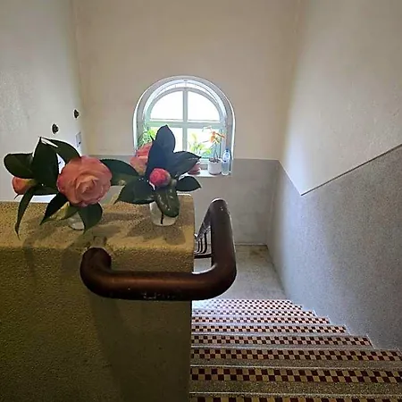 Bed and breakfast Majesticlara